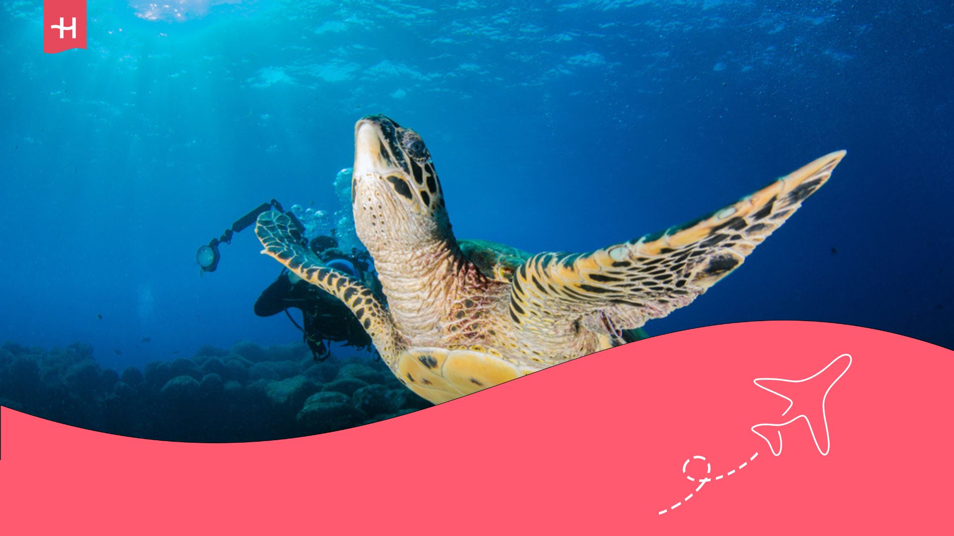 guía de buceo en fernando de noronha