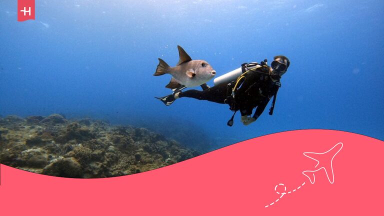 guía de buceo en méxico