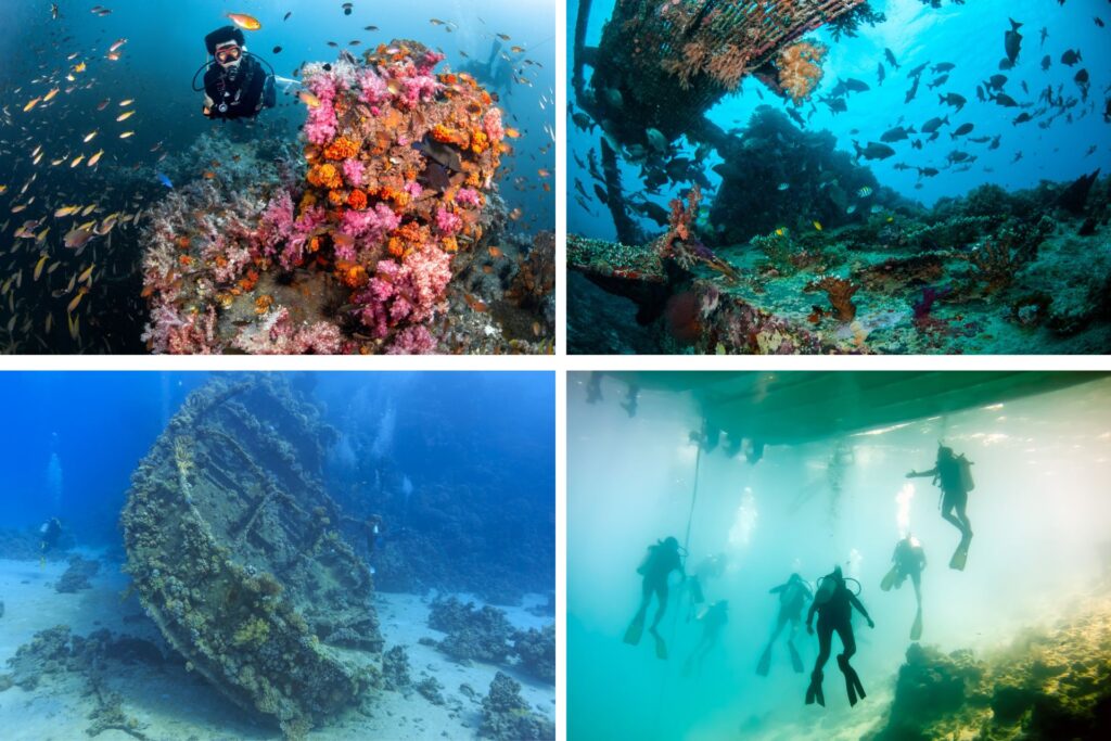 Barcos hundidos con formación de arrecife y personas realizando buceo en Punta Cana