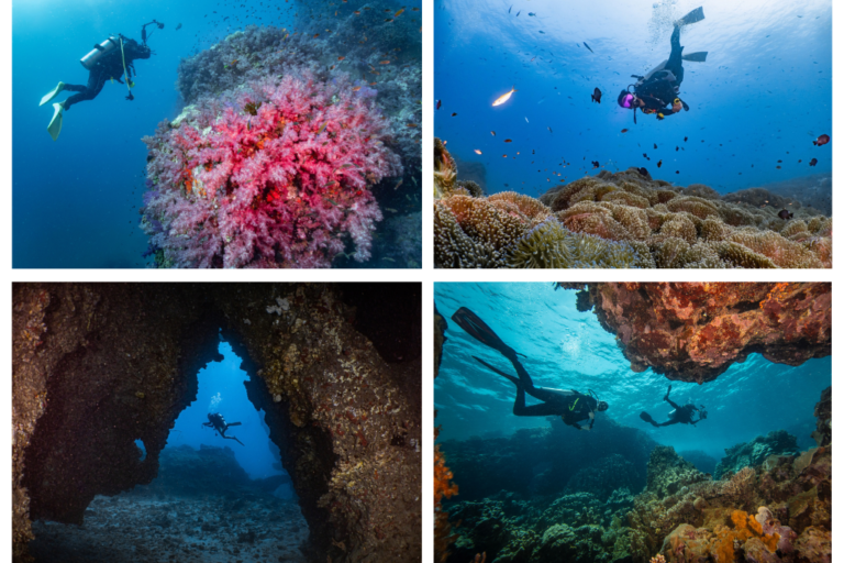 imágenes de personas realizando buceo en Tailandia