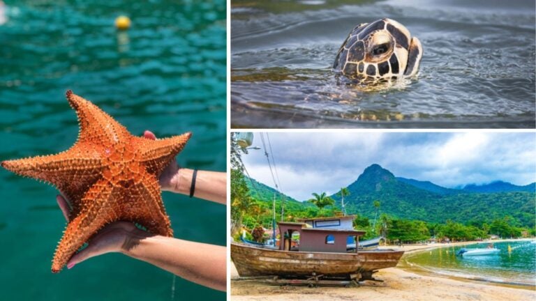 centros de buceo en angra dos reis
