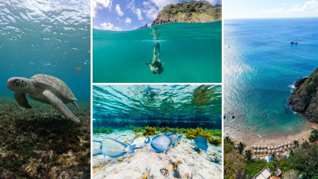 escuelas de buceo en fernando de noronha