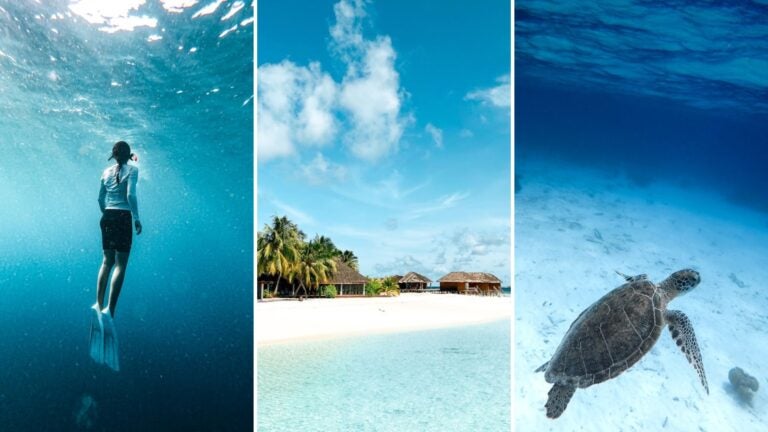 escuelas de buceo en maldivas