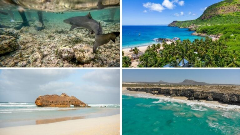 guía de buceo en cabo verde