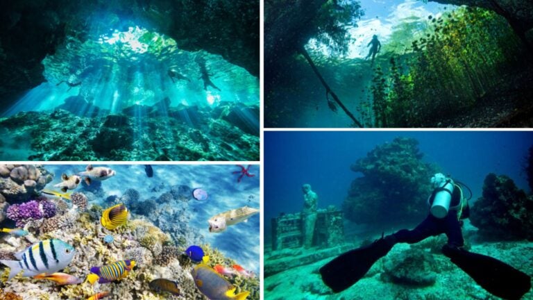 las mejores escuelas de buceo en cancún