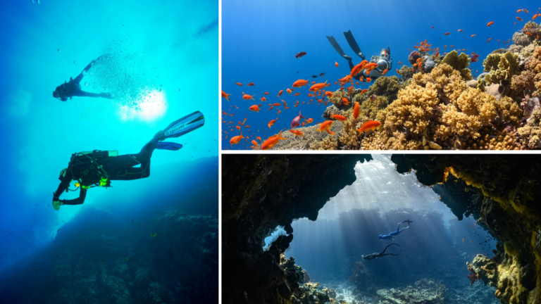 Fondo marino en donde se puede hacer buceo en Malta.