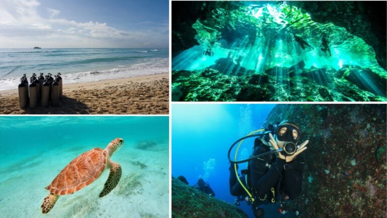 mejores puntos de buceo en cancún