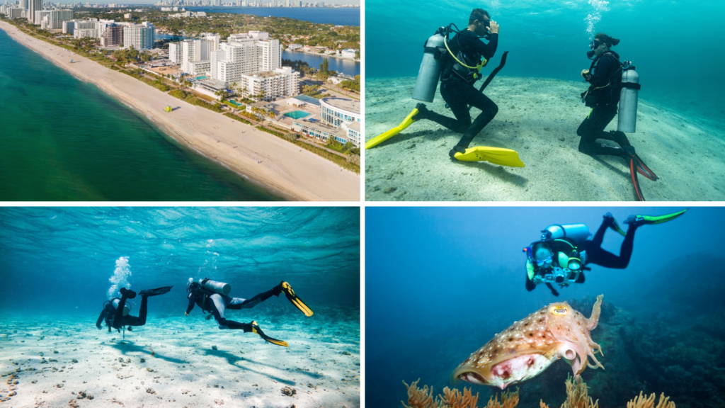 Hombres y mujeres haciendo buceo y fotografía marina en Miami Beach.