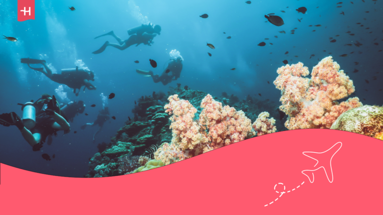 personas practicando buceo con peses alrededor