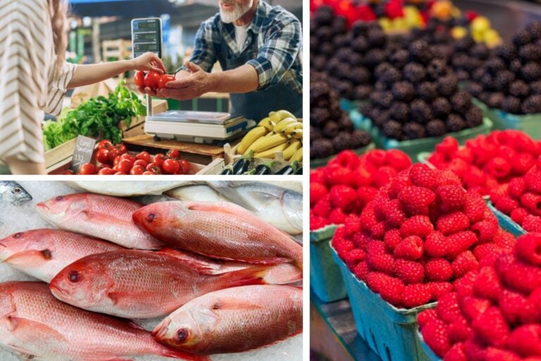 Pescado, fruta y verdura fresca en puestos de un mercado central.