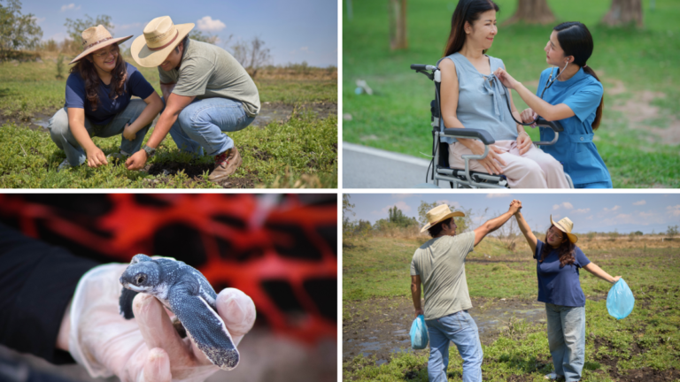 En México hay distintos programas de voluntariado con animales, adultos mayores y el medio ambiente.