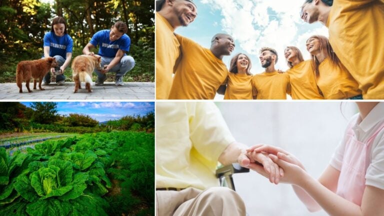 proyectos de voluntariado en corea del sur proyectos de voluntariado en corea del sur