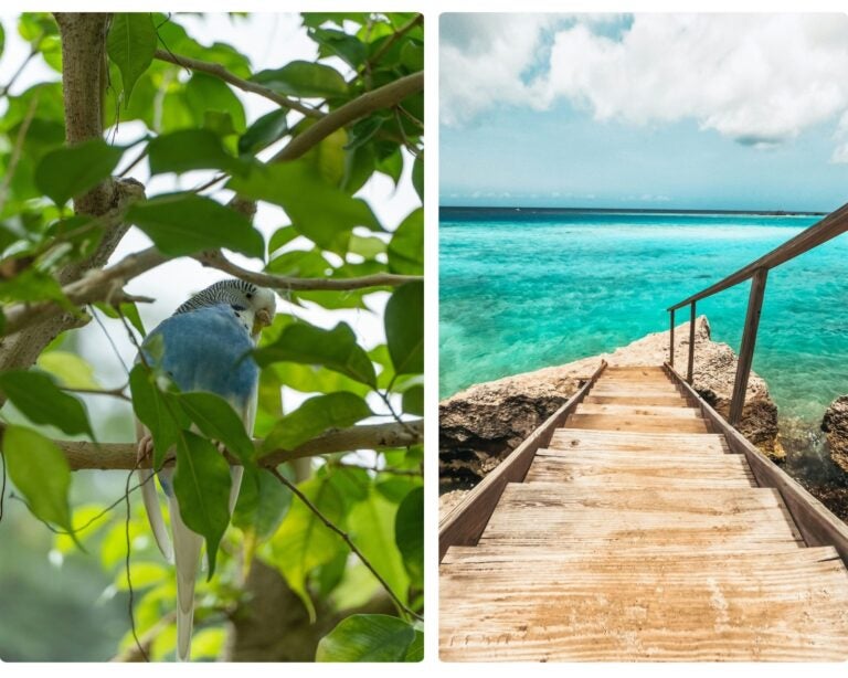 requisitos para viajar a aruba desde méxico, diferentes climas