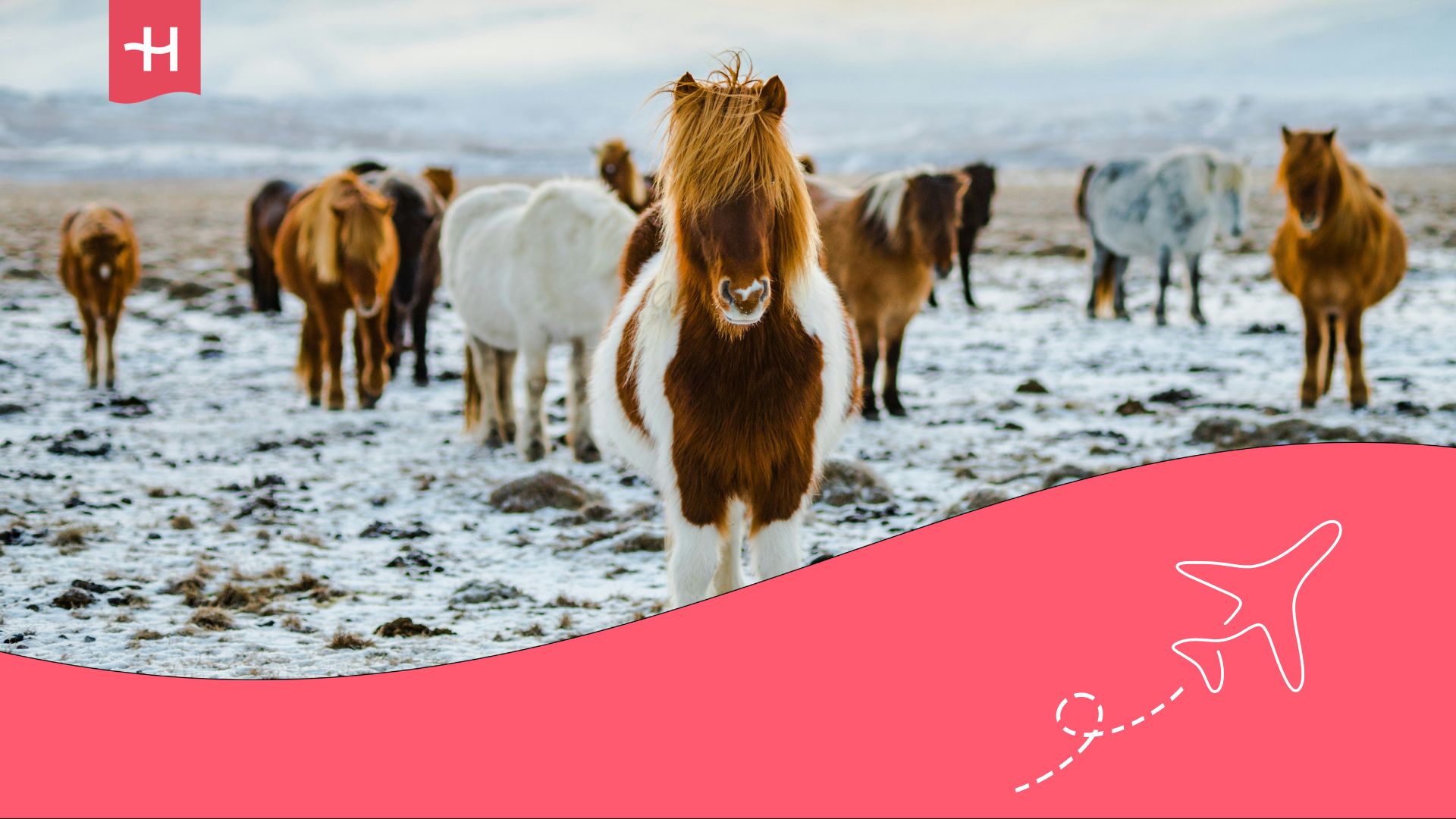 requisitos para viajar a islandia desde españa