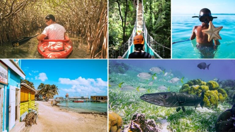 seguro de viaje para belice