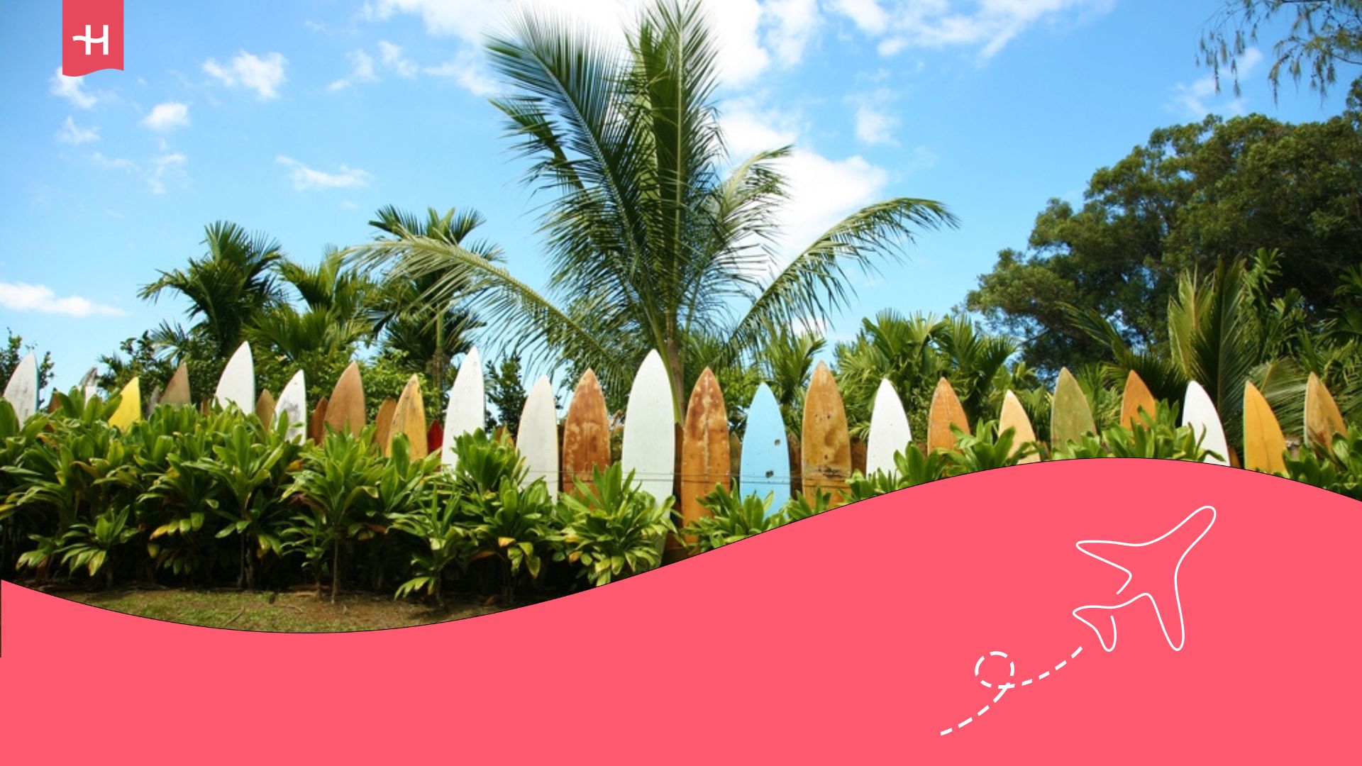 guía completa de surf en hawaii