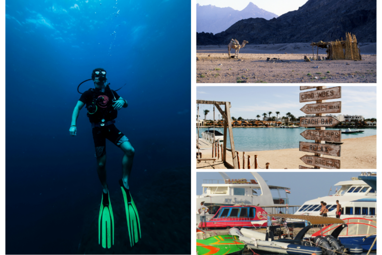 Principales centros y cursos de buceo en Hurghada. 