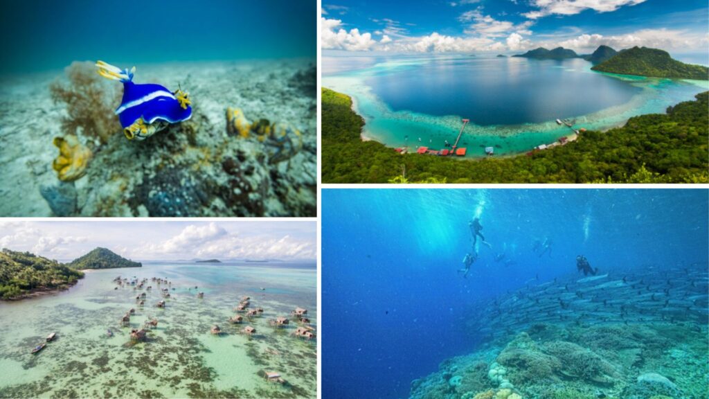 mejores sitios de buceo en Malasia, Borneo mejores sitios de buceo en Malasia, Borneo