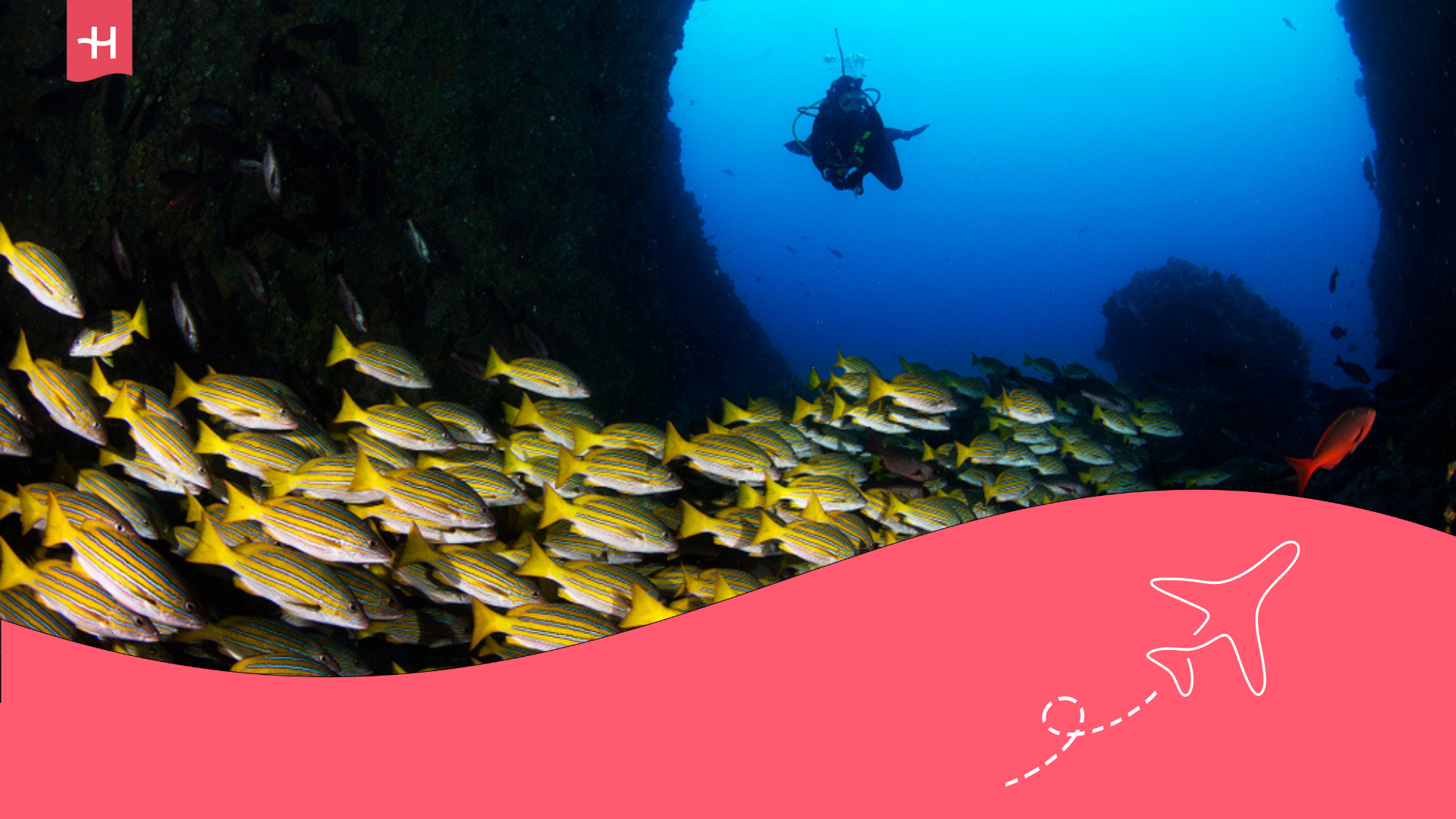 Buceo en el Mar Caribe y Pacífico en Colombia.