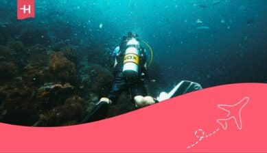 buceo en baja california, planes