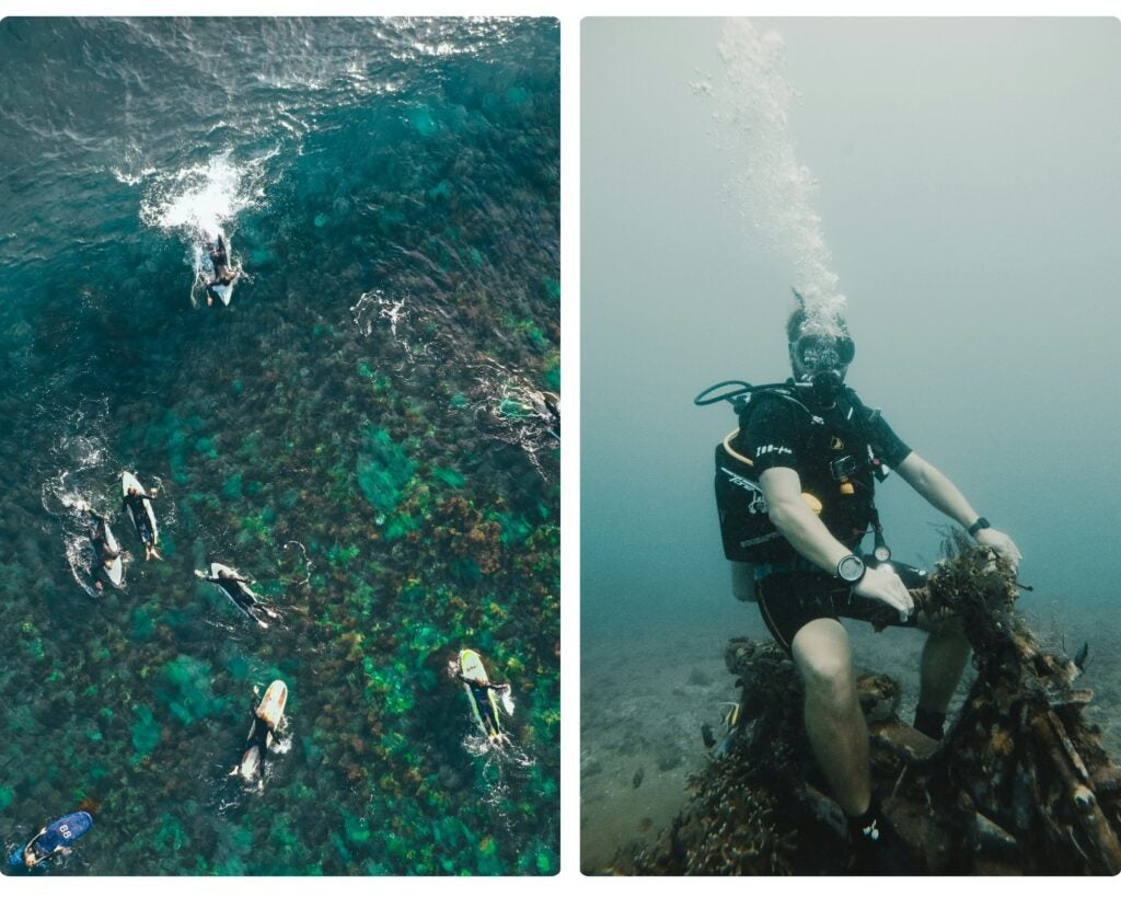 buceo en baja california, paseos, especiales