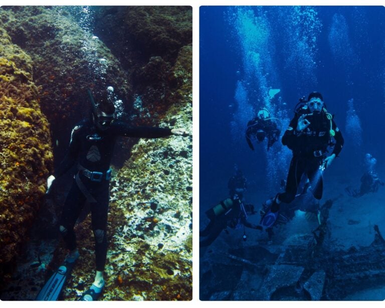 buceo en baja california, inmersiones y sus precios