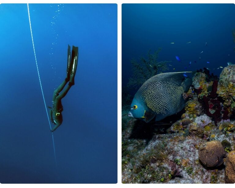 buceo en madagascar, divers