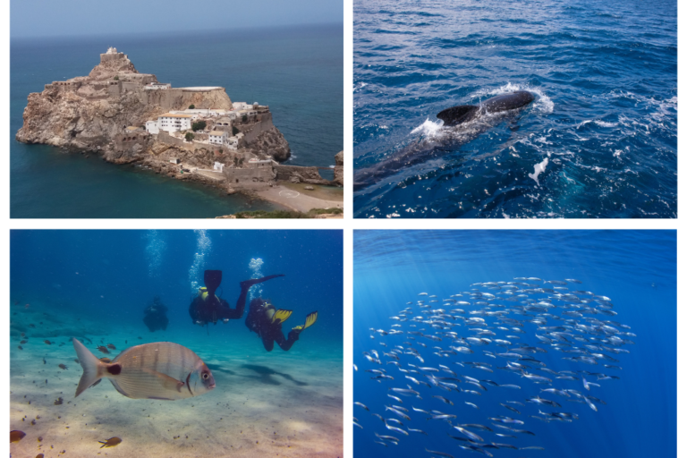 Los mejores lugares para practicar buceo en Marruecos