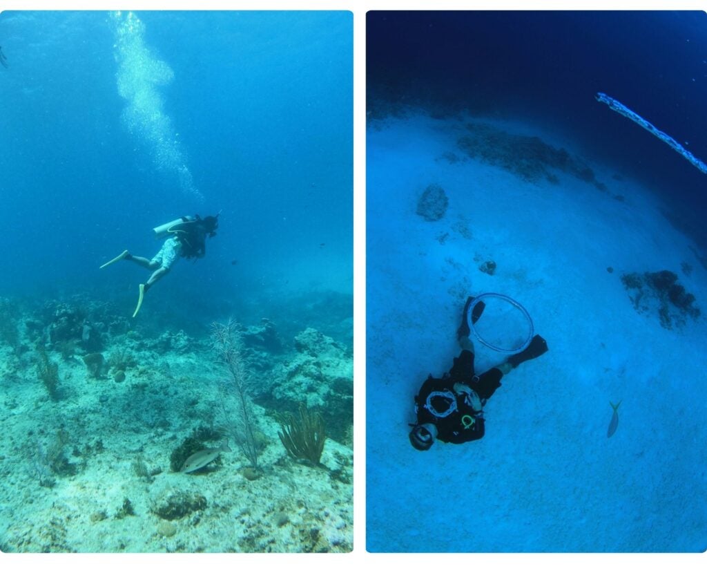 buceo en okinawa, planes de diving
