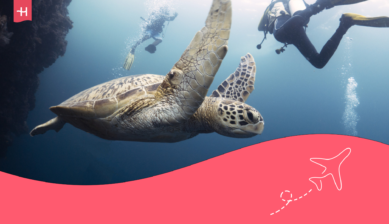 guía completa de buceo en sipadan