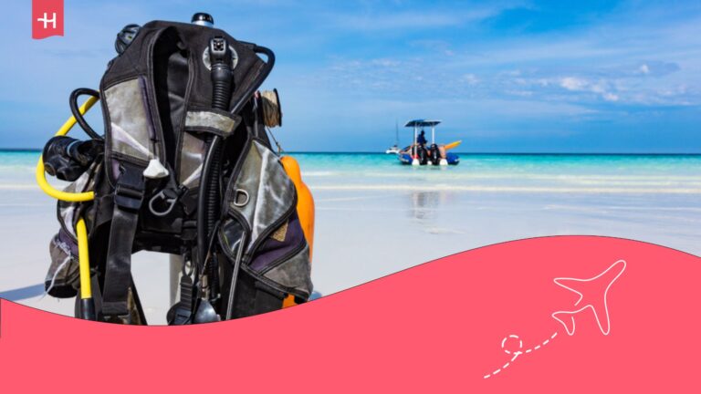 guía completa de buceo en zanzíbar