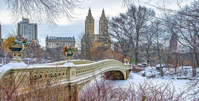 Central Park, Nueva York, en invierno