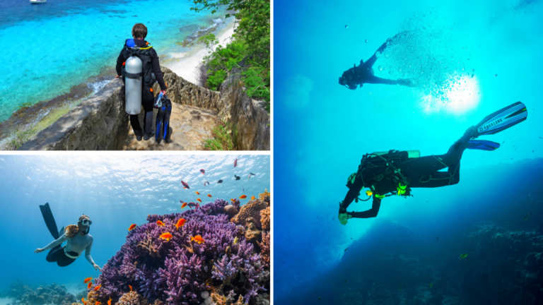 Hombres y mujeres practicando buceo en Cerdeña. Imágenes de referencia.