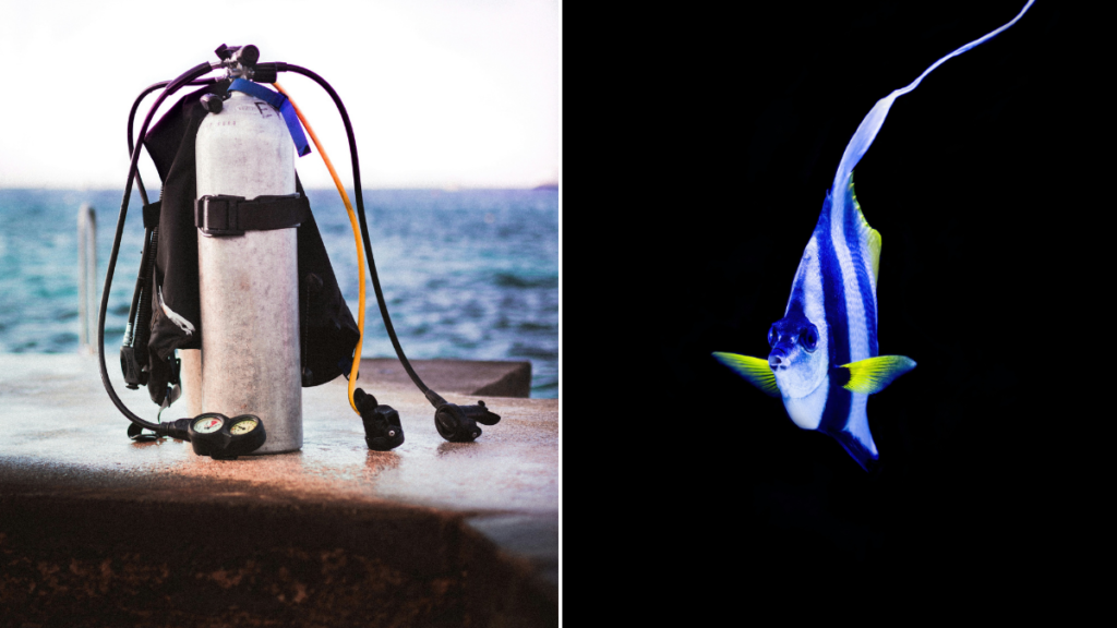 Equipo de buceo y un pez bannerfish o estandarte, el cual se puede ver buceando en Nusa Penida.