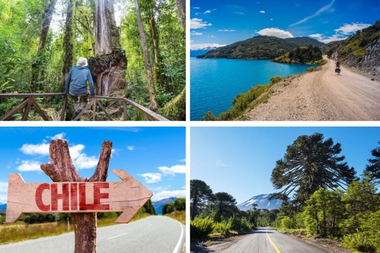 Carreteras de Chile y hombre sentado en el Parque Pumalin.