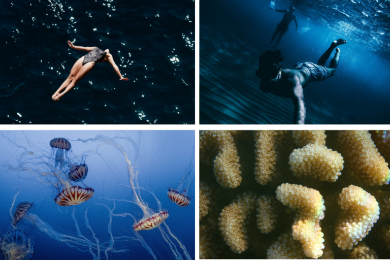 Imágenes representativas de buceo en Sicilia