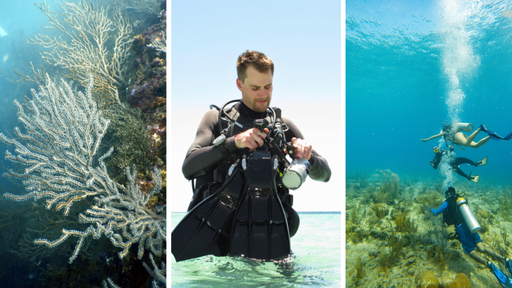 Hombre con el equipo de buceo puesto en Colombia.