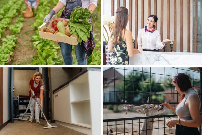 Diferentes tipos de trabajos colaborativos que puedes realizar. 