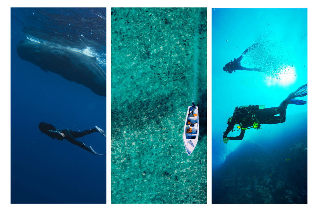 personas practicando buce en Mauricio