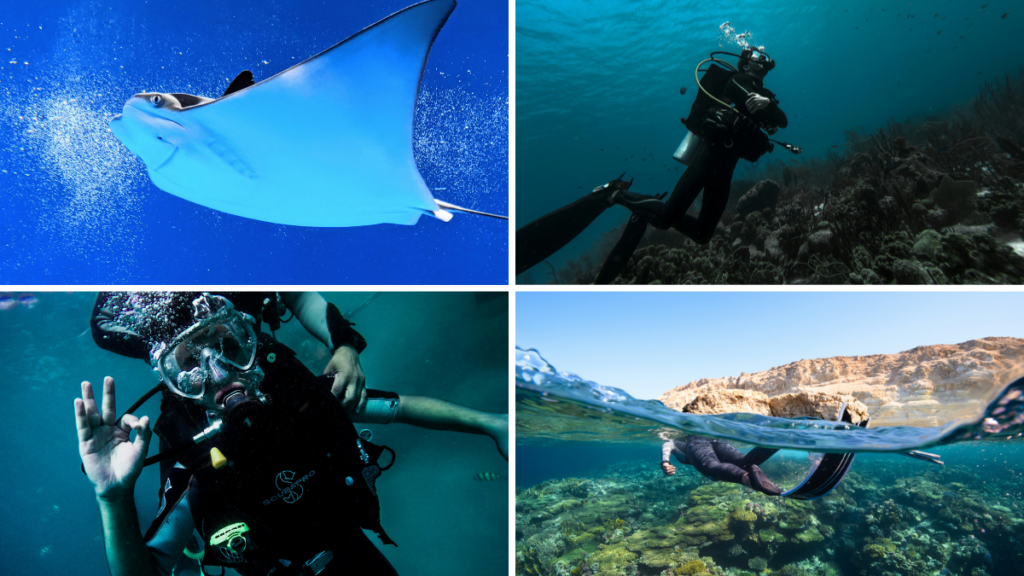 Las mantarrayas son uno de los mayores atractivos al hacer buceo en Nusa Penida.