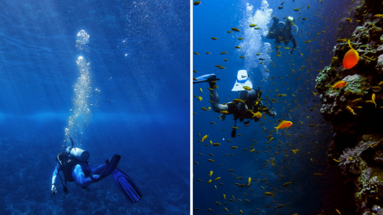 Fotos de buceadores bajo el mar de Croacia.