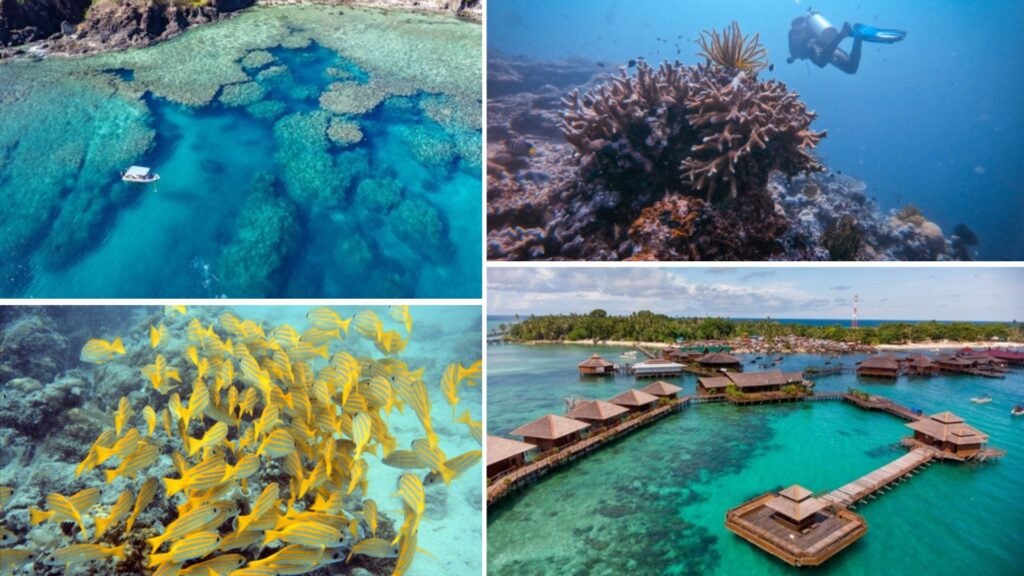 mabul, buceo en sipadan mabul, buceo en sipadan