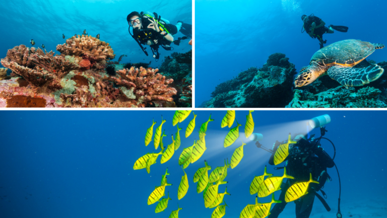 Lugares a donde podrás ir con los centros de buceo de Seychelles.