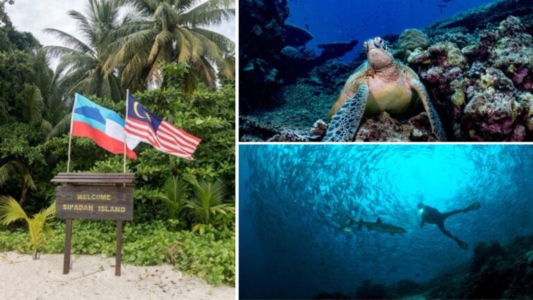 mejores escuelas de buceo en sipadan