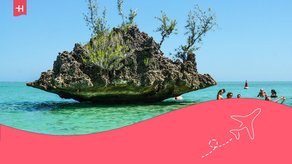 portada Holafly contenido sobre buceo en Mauricio