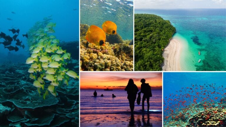 sitios de buceo en zanzíbar