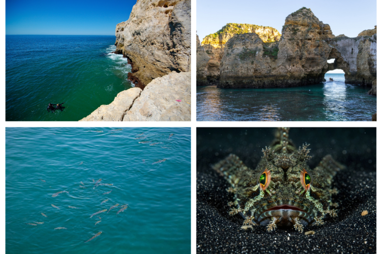 Mejores lugares para realizar buceo en el Algarve