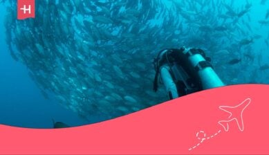 buceo en cabo pulmo