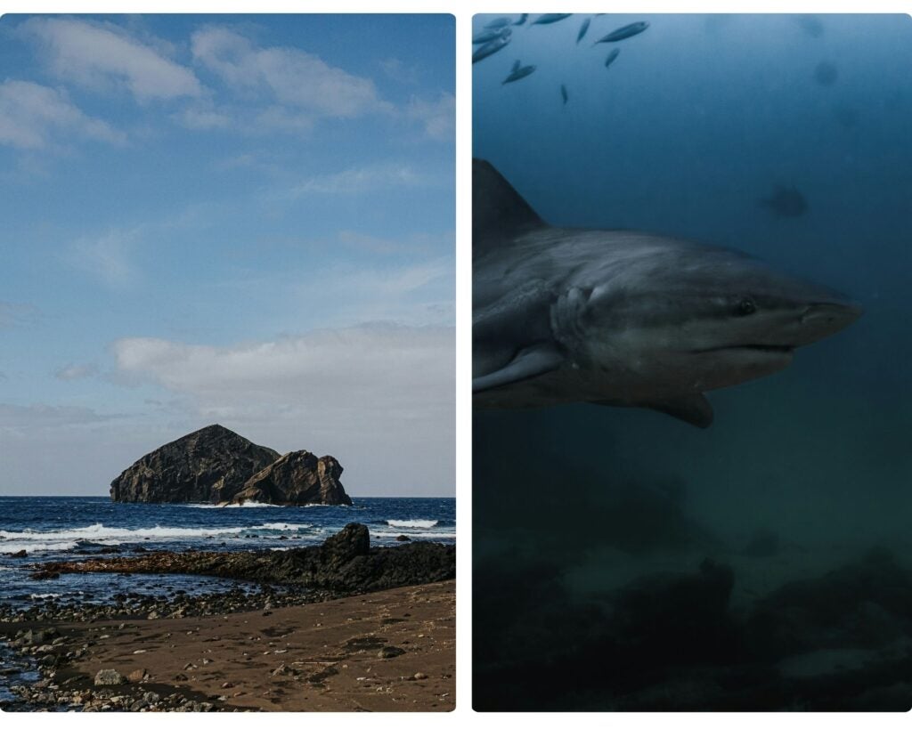 buceo en cabo pulmo, planes familiares