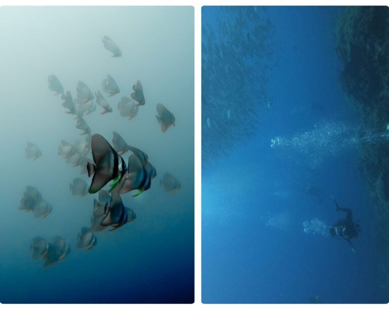 buceo en guanacaste, planes